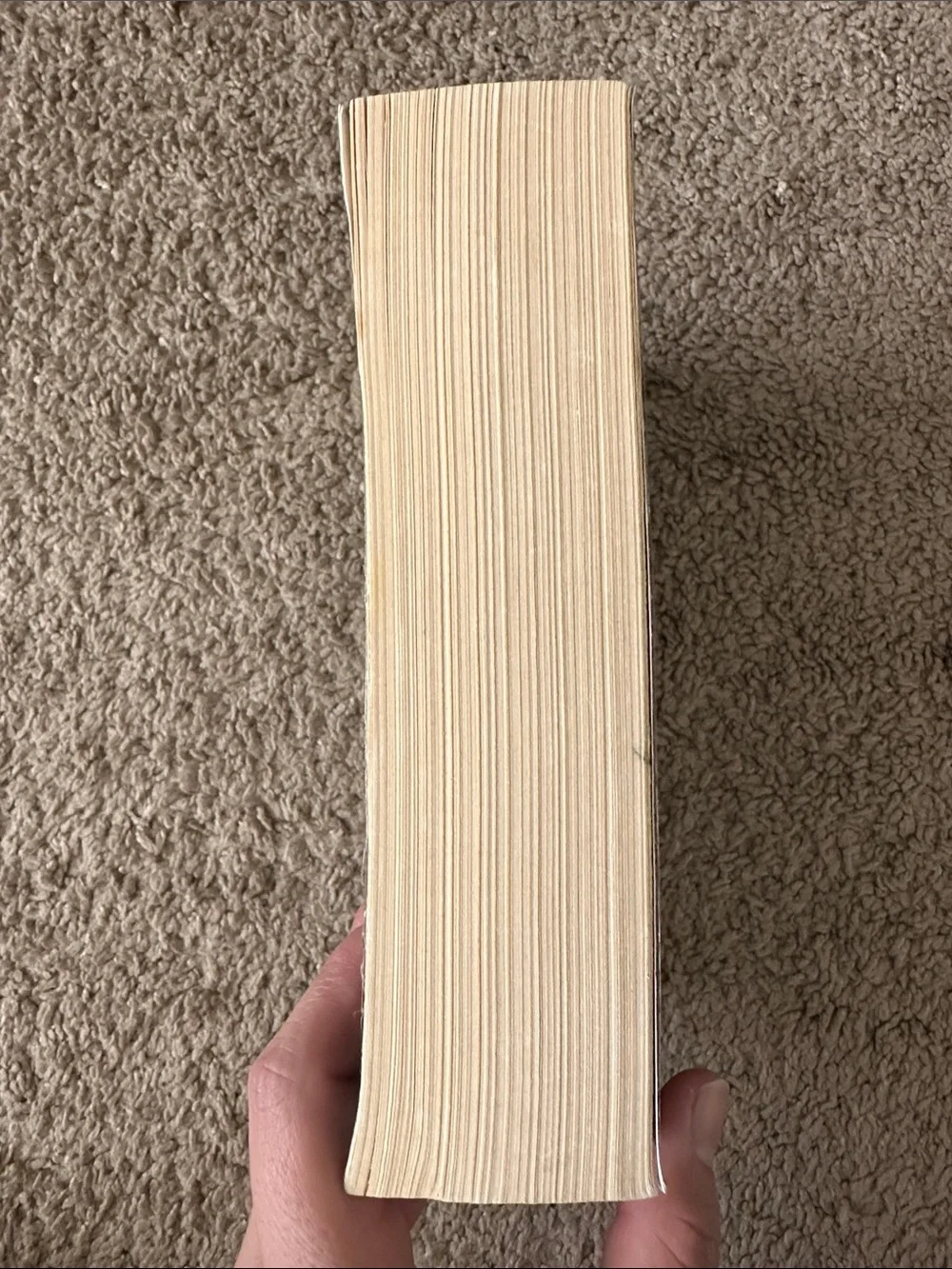Anna Karenina by Leo Tolstoy - Burgundy Cover Paperback
